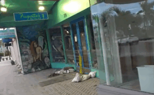 💧 st. Armands circle was underwater last fall—now the city plans a $10m fix