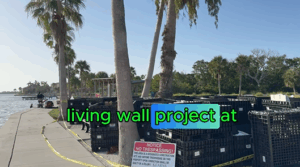 Longboat key builds the future—underwater