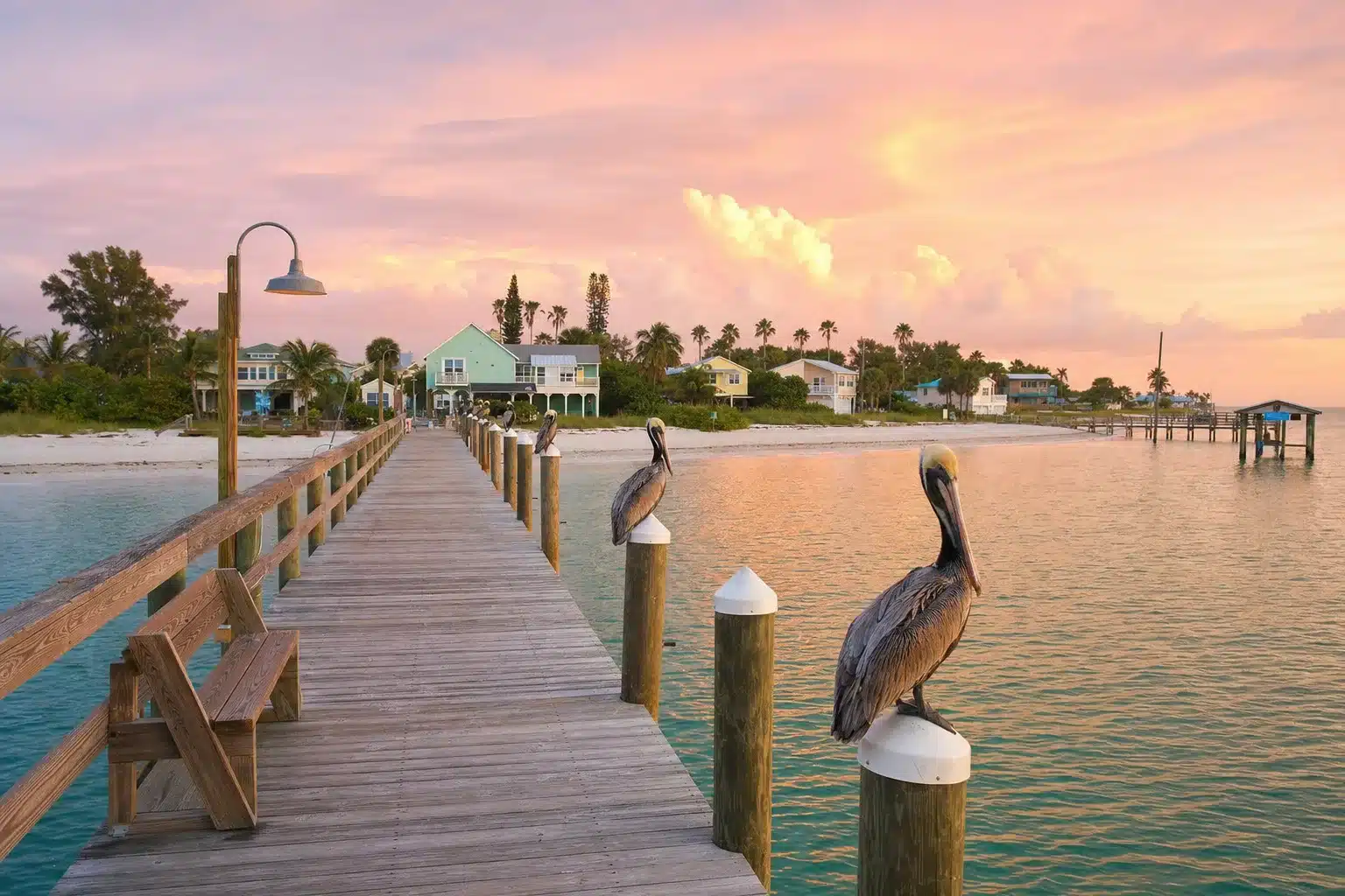 Team Renick — Sarasota &Amp; Manatee Real Estate | Live Mls Intelligence Wooden pier with pelicans on anna maria island at sunrise