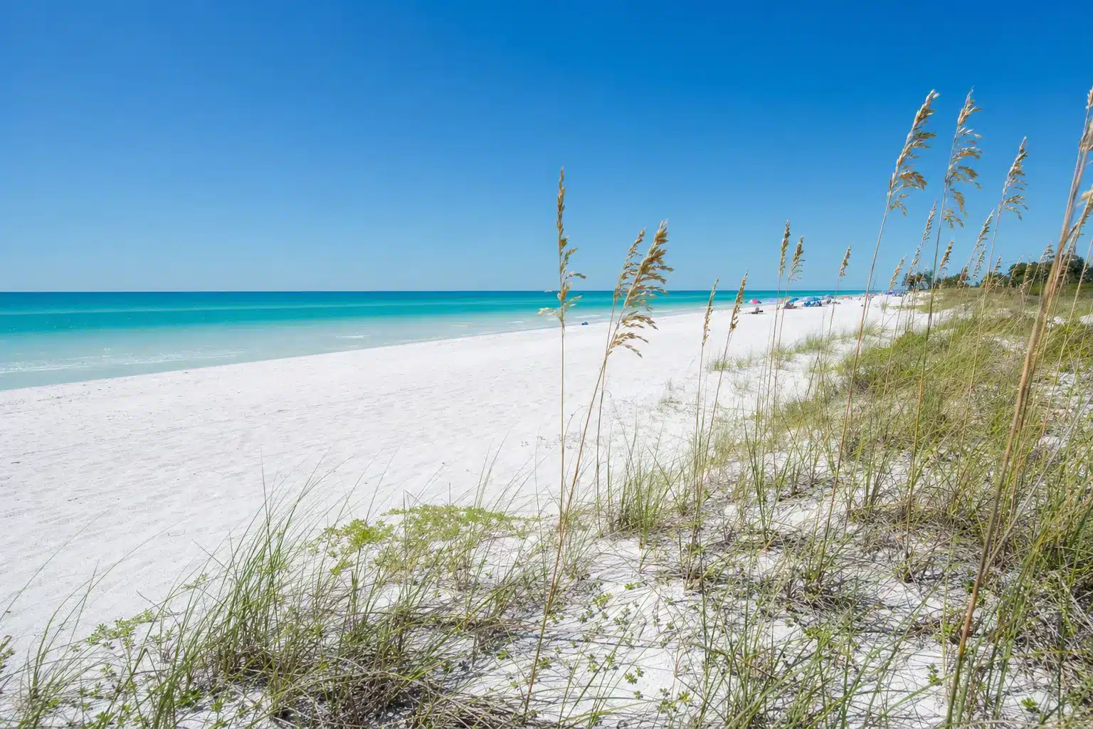 Team Renick — Sarasota &Amp; Manatee Real Estate | Live Mls Intelligence White quartz sand beach on siesta key
